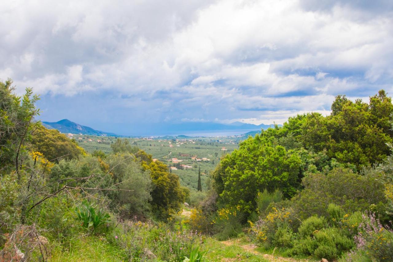 Zante Lagos Holiday Homes Treehouse And Villa Vougiaton Exterior foto