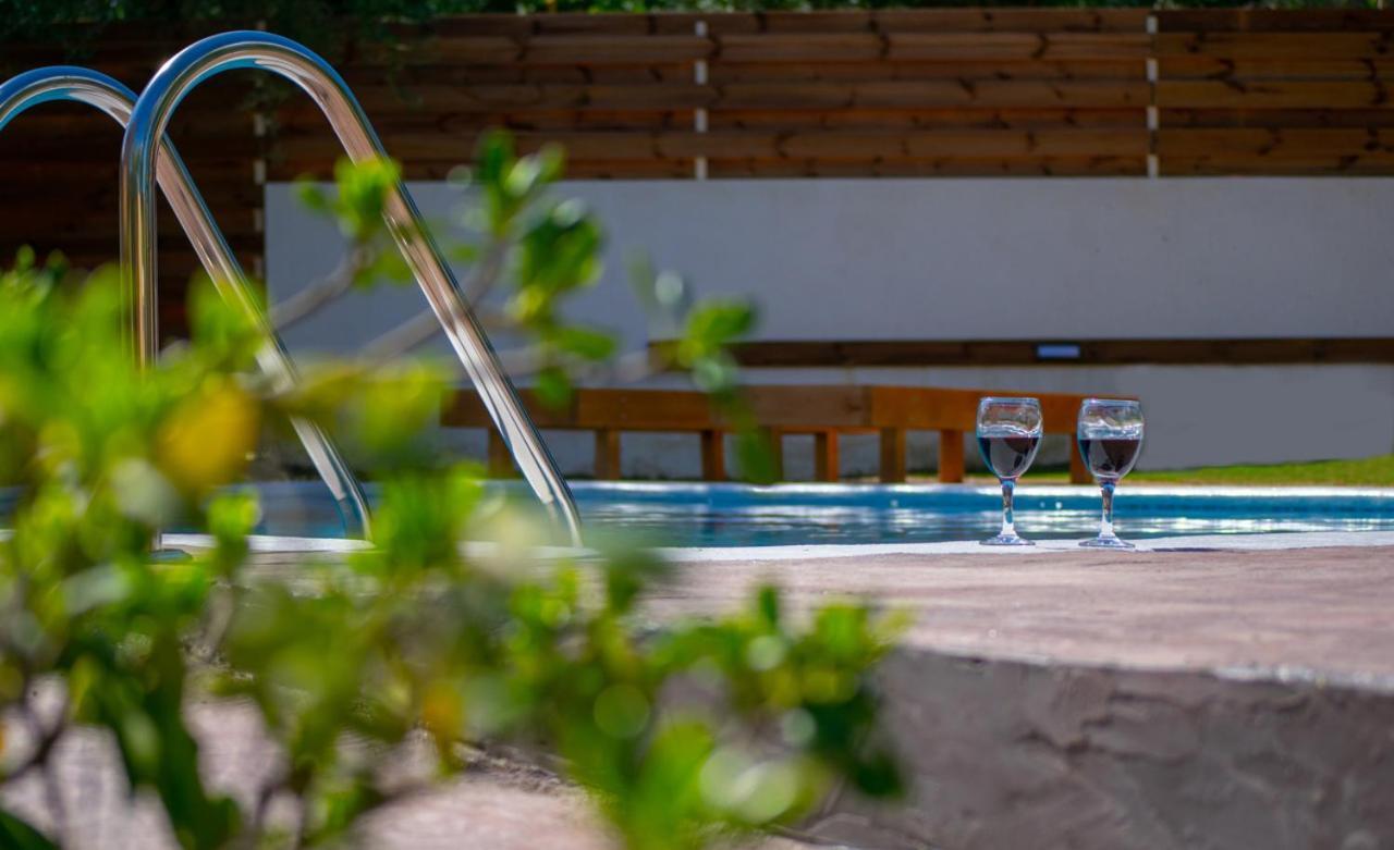Zante Lagos Holiday Homes Treehouse And Villa Vougiaton Exterior foto